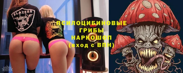 прущие крисы Балахна