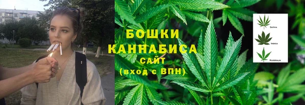 стафф Богданович