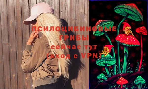 ГАЛЛЮЦИНОГЕННЫЕ ГРИБЫ Богородицк
