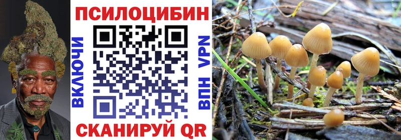 Псилоцибиновые грибы GOLDEN TEACHER  KRAKEN ССЫЛКА  Горно-Алтайск 