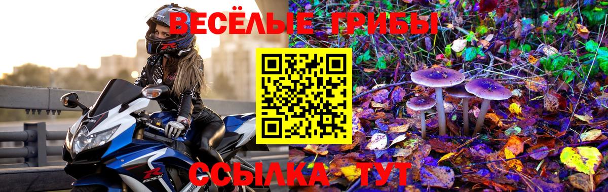 Галлюциногенные грибы Cubensis  продажа наркотиков  Горно-Алтайск 